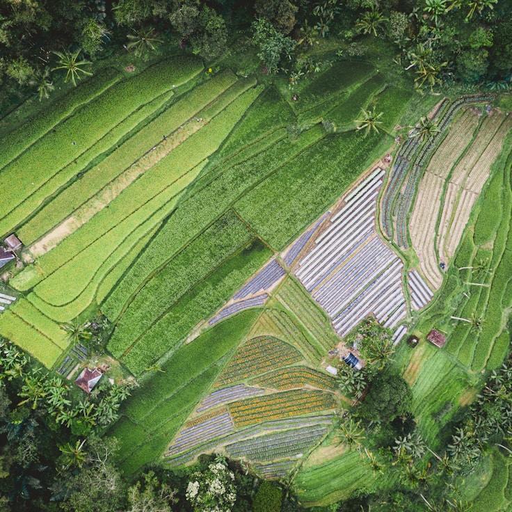 Kids playground area in Germany